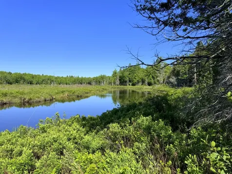Lot 2b Kingfield Road New Vineyard ME 04956