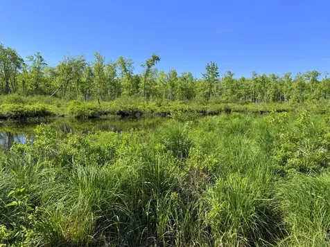 Lot 2b Kingfield Road New Vineyard ME 04956