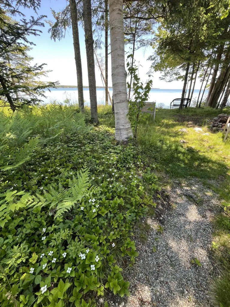 35 Peninsula Shores Road Gouldsboro ME 04624