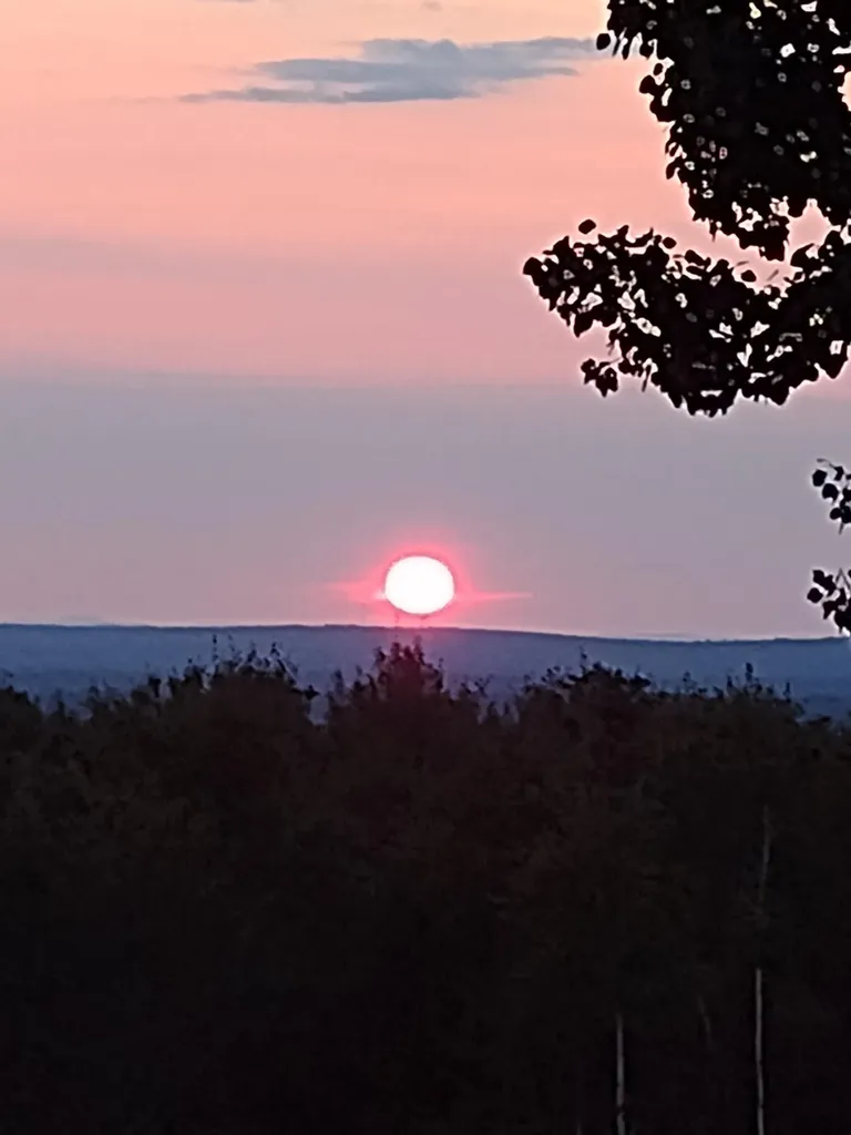 265 Vinegar Hill Road Lowell ME 04493