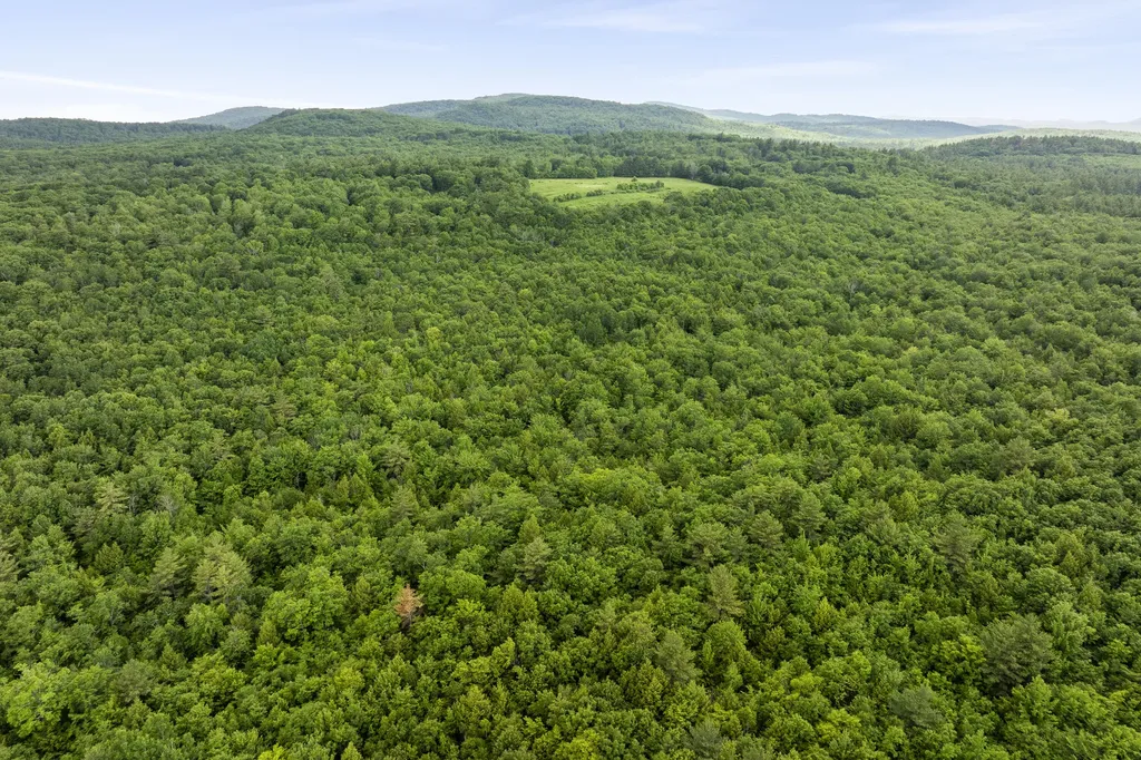 4 Taylor Loop Limington ME 04049
