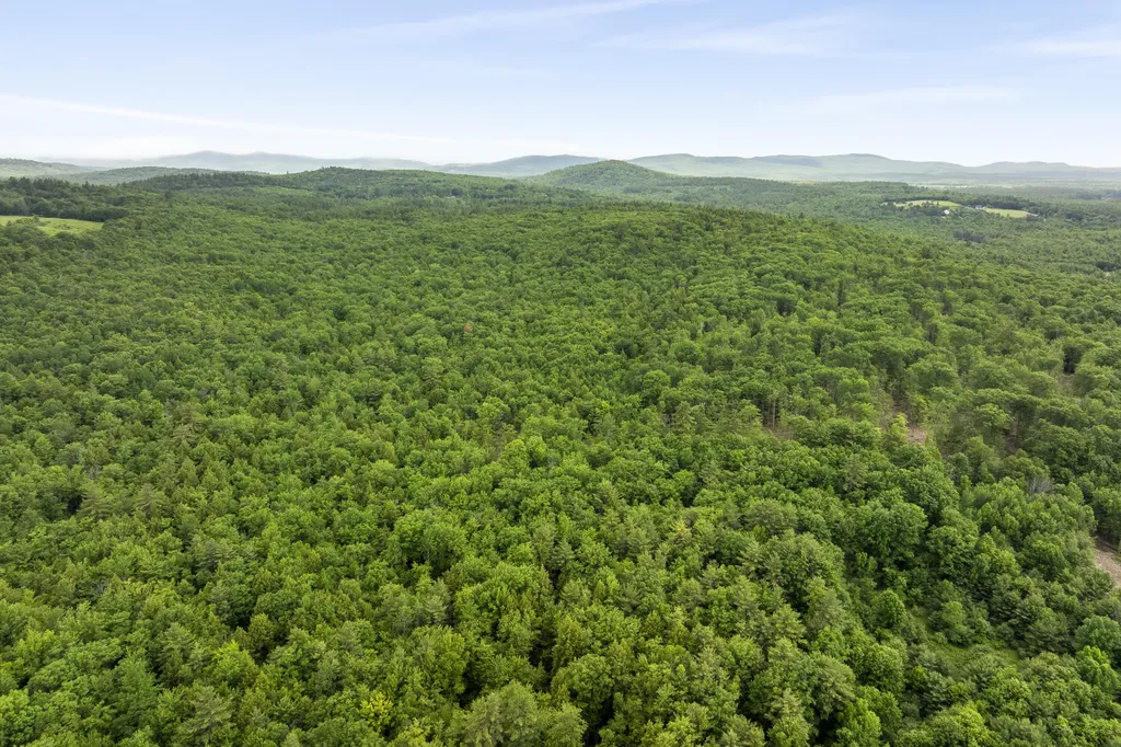 4 Taylor Loop Limington ME 04049