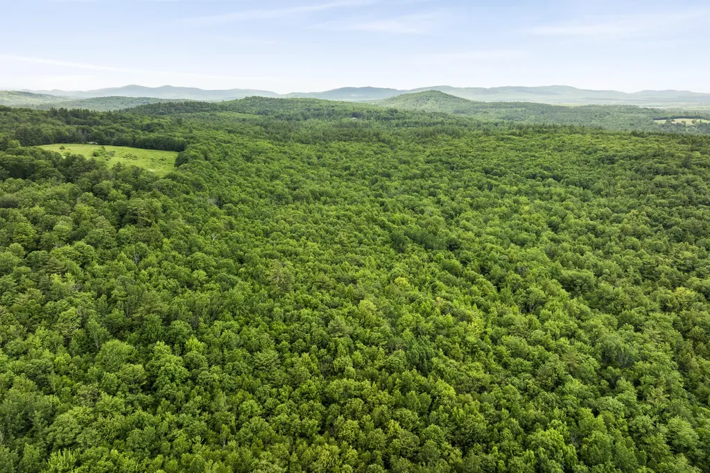4 Taylor Loop Limington ME 04049