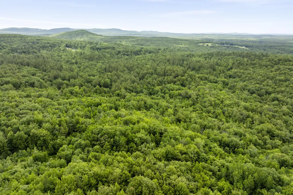 4 Taylor Loop Limington ME 04049