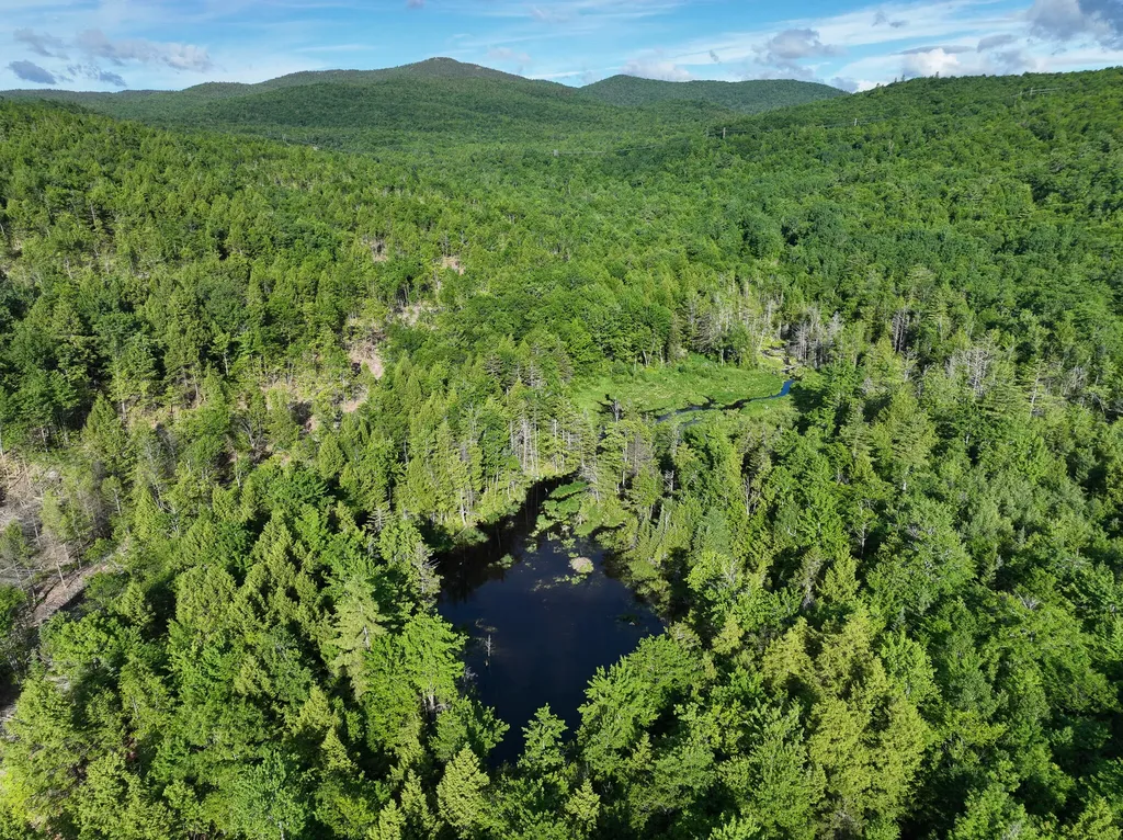 Map 10 Lot 1 Dow Brook Road Peru ME 04290