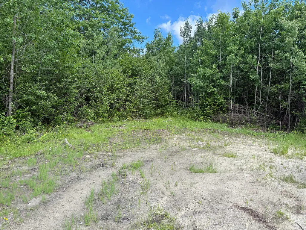 Map 10 Lot 1 Dow Brook Road Peru ME 04290