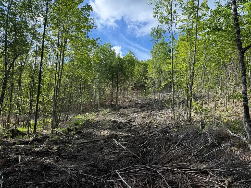 Map 10 Lot 1 Dow Brook Road Peru ME 04290