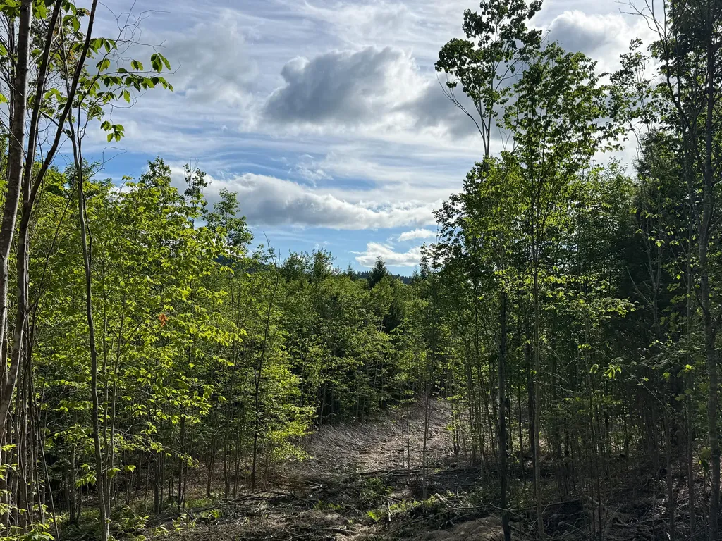 Map 10 Lot 1 Dow Brook Road Peru ME 04290