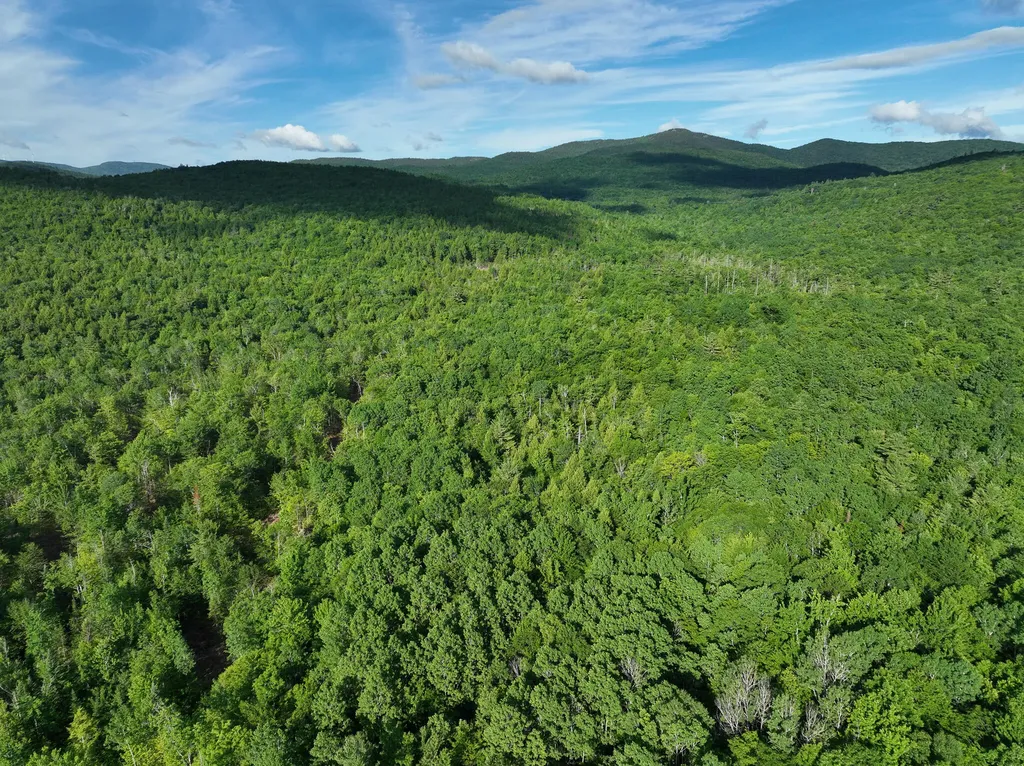 Map 10 Lot 1 Dow Brook Road Peru ME 04290