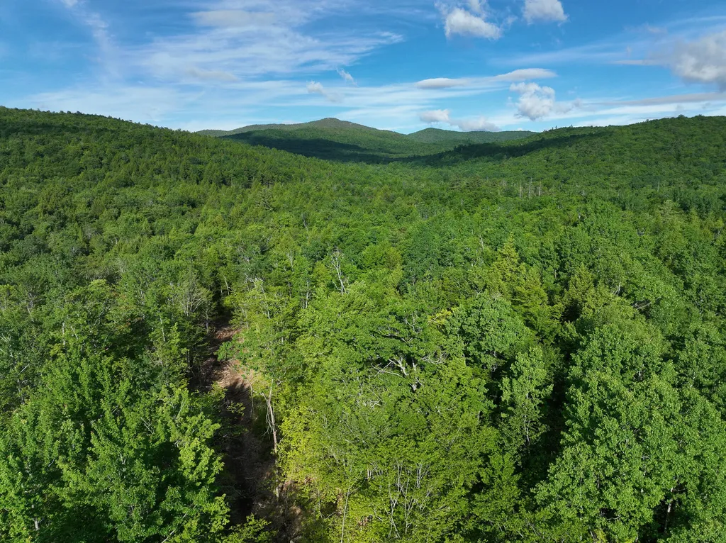 Map 10 Lot 1 Dow Brook Road Peru ME 04290