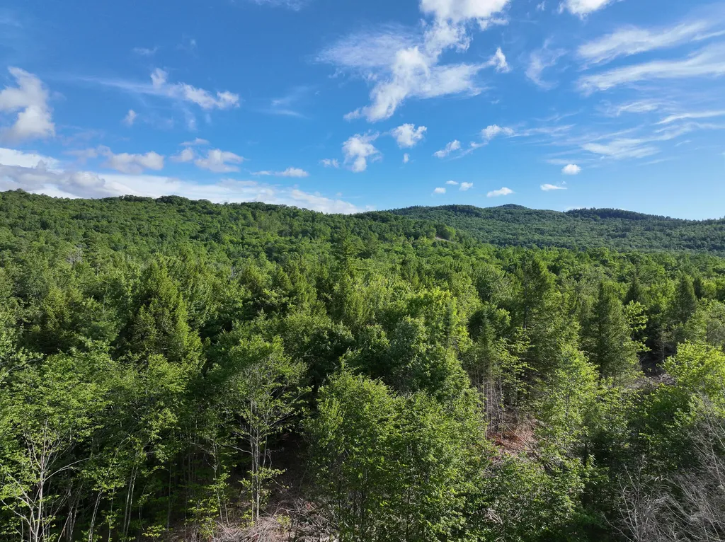 Map 10 Lot 1 Dow Brook Road Peru ME 04290