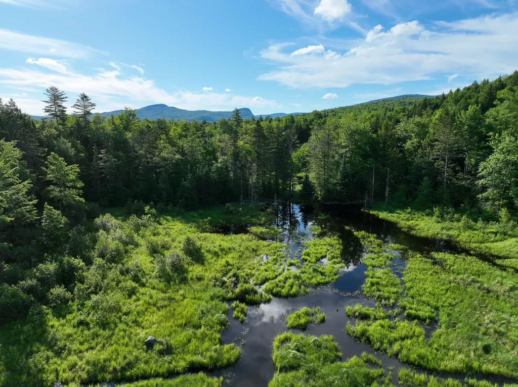 Map 10 Lot 1 Dow Brook Road Peru ME 04290