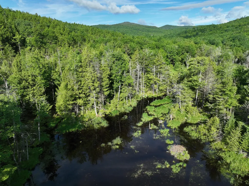 Map 10 Lot 1 Dow Brook Road Peru ME 04290