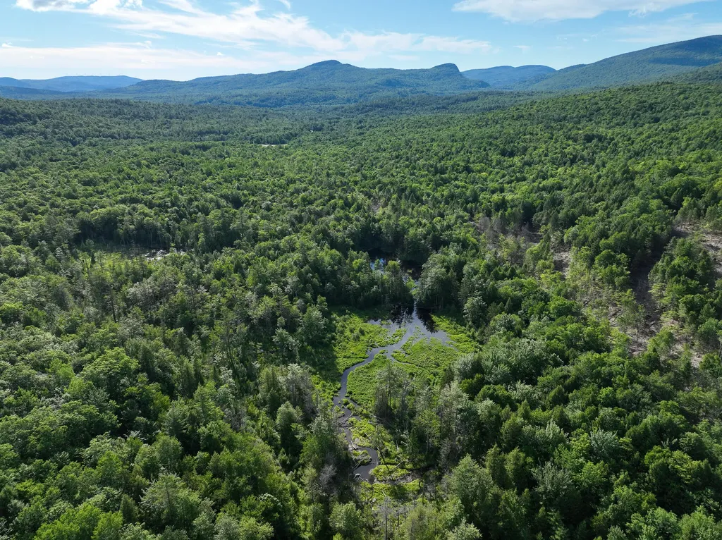 Map 10 Lot 1 Dow Brook Road Peru ME 04290