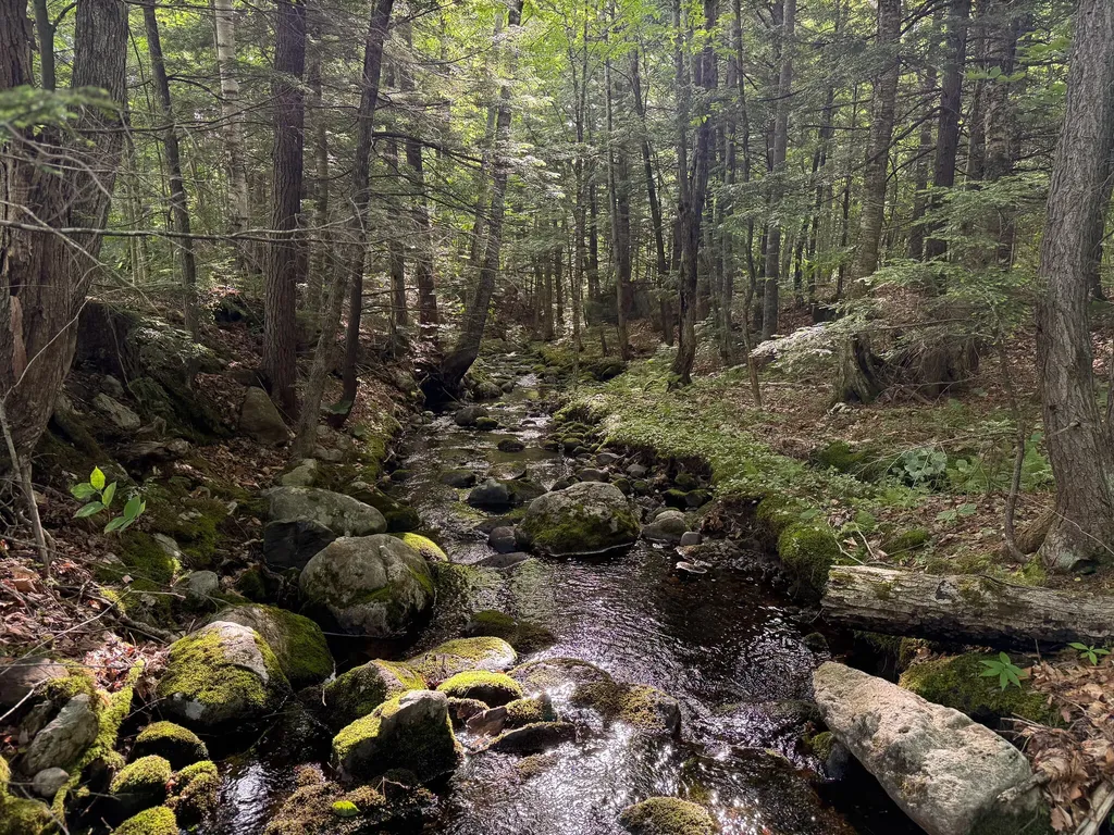 Map 10 Lot 1 Dow Brook Road Peru ME 04290