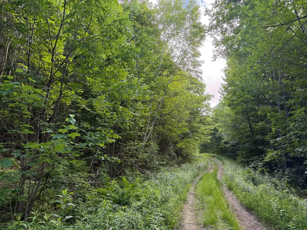 Map 10 Lot 1 Dow Brook Road Peru ME 04290