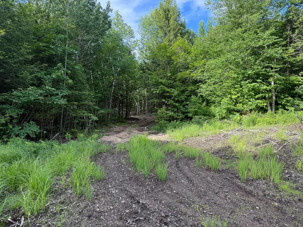Map 10 Lot 1 Dow Brook Road Peru ME 04290
