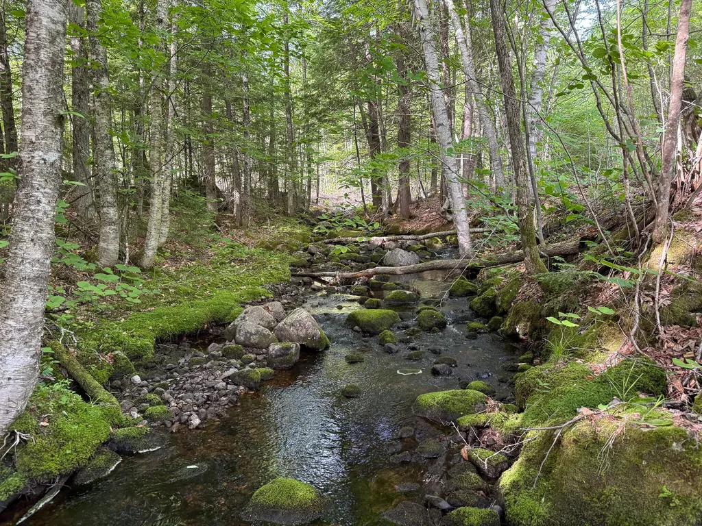 Map 10 Lot 1 Dow Brook Road Peru ME 04290