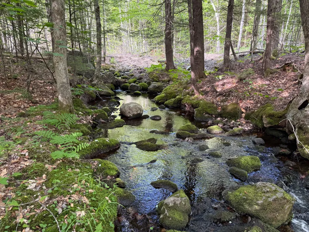 Map 10 Lot 1 Dow Brook Road Peru ME 04290