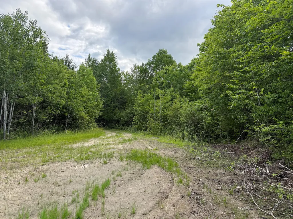 Map 10 Lot 1 Dow Brook Road Peru ME 04290