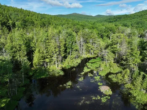 Map 10 Lot 1 Dow Brook Road Peru ME 04290