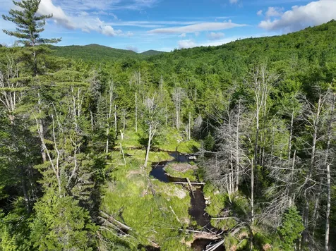 Map 10 Lot 1 Dow Brook Road Peru ME 04290