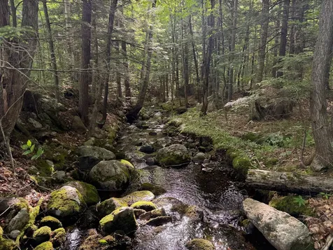 Map 10 Lot 1 Dow Brook Road Peru ME 04290