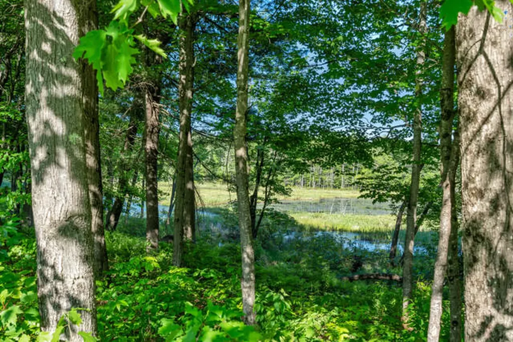 8 Village Drive Turner ME 04282