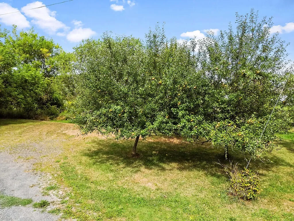 152 Fairfield Street Oakland ME 04963