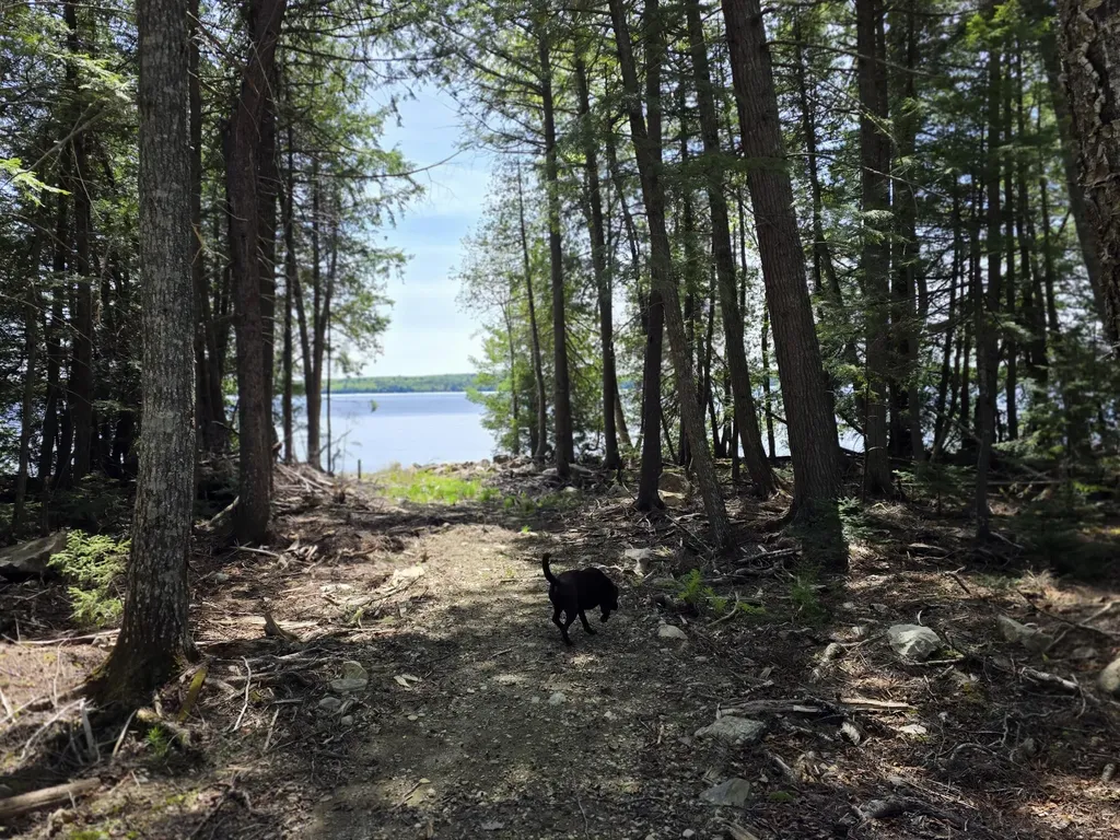 1.86 Lakeside Road T4 R3 Wels ME 04747