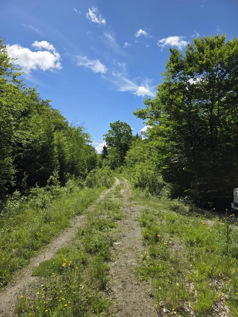 1.86 Lakeside Road T4 R3 Wels ME 04747