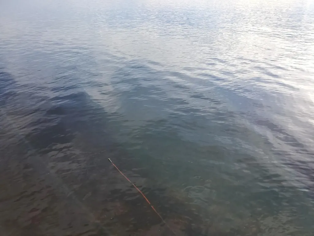 1.86 Lakeside Road T4 R3 Wels ME 04747