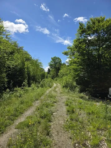 1.86 Lakeside Road T4 R3 Wels ME 04747