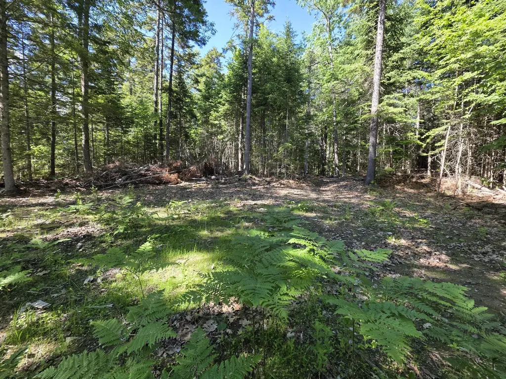 458 Point Road Otis ME 04605