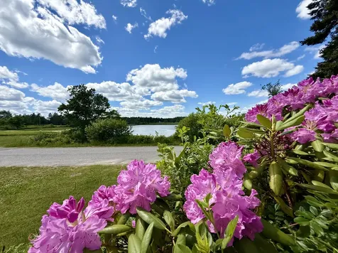 5 Snyder Road Eastport ME 04631