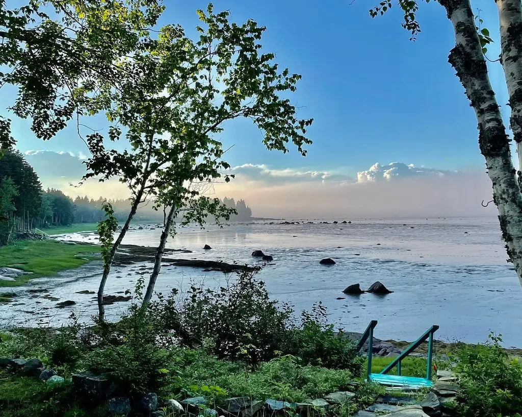 336 Rays Point Road Milbridge ME 04658