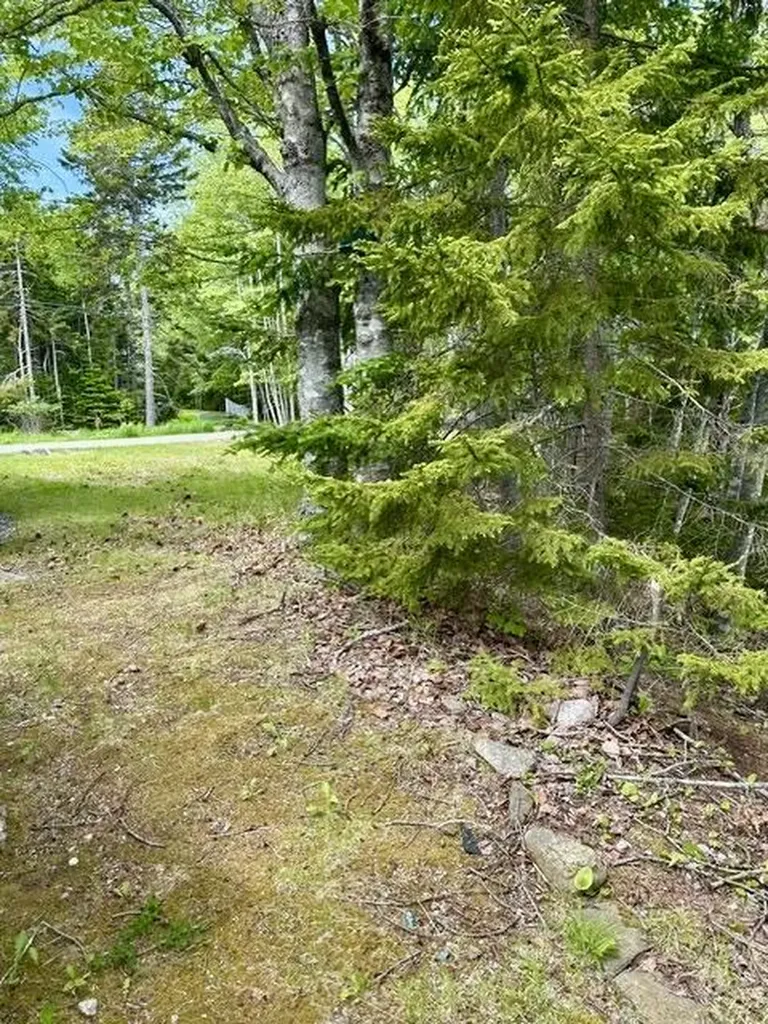 336 Rays Point Road Milbridge ME 04658