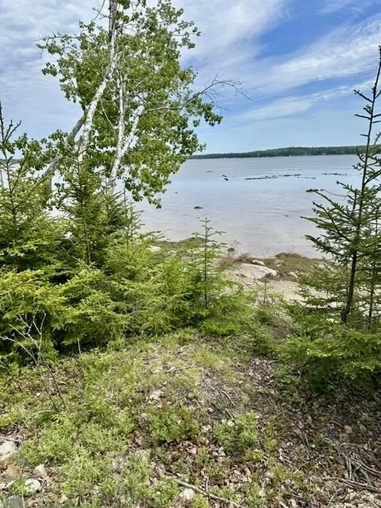336 Rays Point Road Milbridge ME 04658