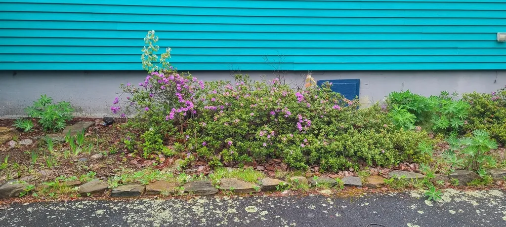 336 Rays Point Road Milbridge ME 04658