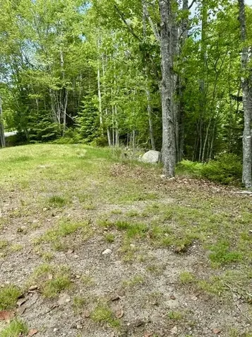 336 Rays Point Road Milbridge ME 04658