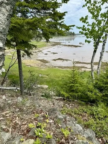 336 Rays Point Road Milbridge ME 04658