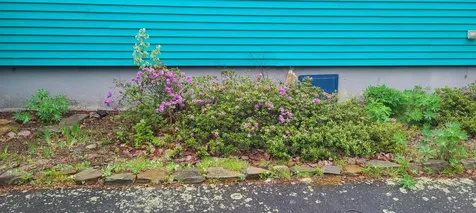 336 Rays Point Road Milbridge ME 04658