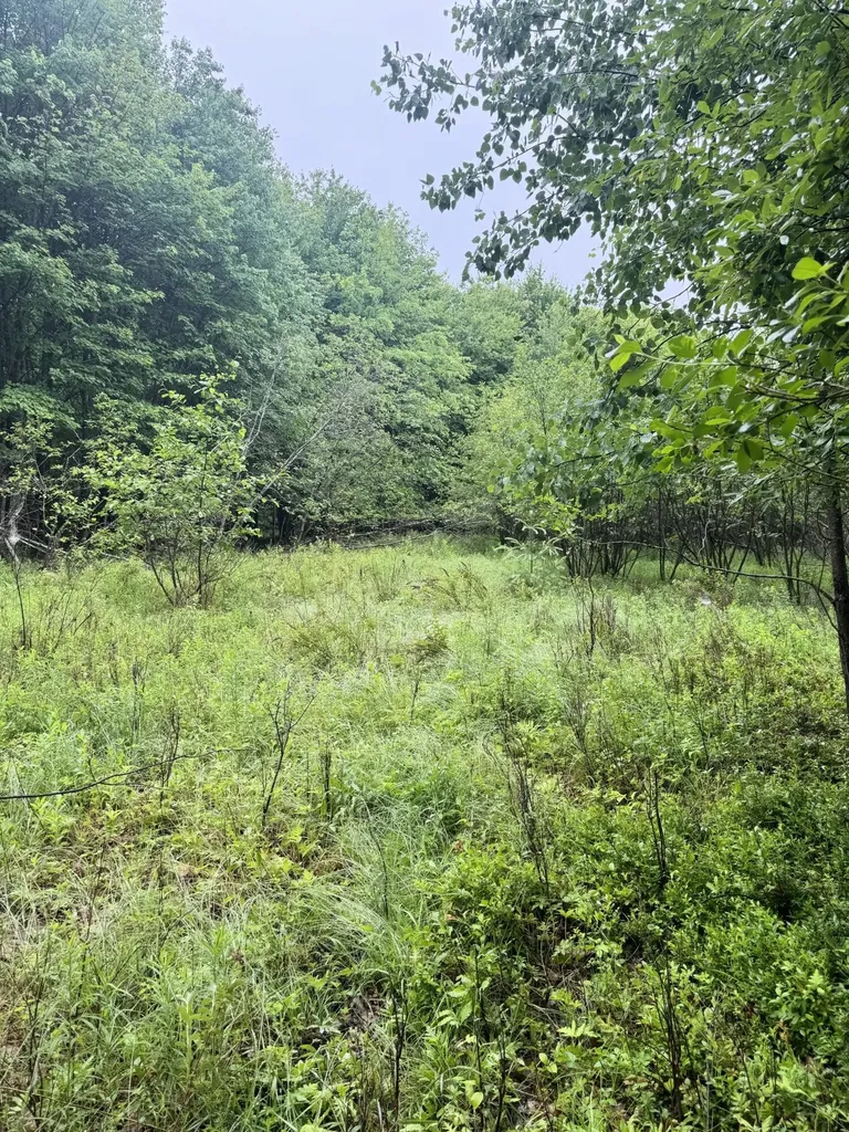 000 Williams Pond Road Bucksport ME 04416