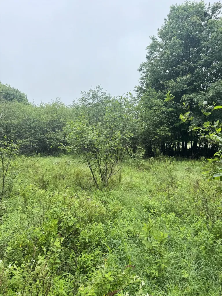 000 Williams Pond Road Bucksport ME 04416