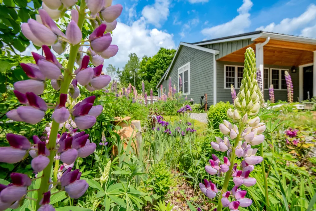 154 Merrills Mills Road Dover-foxcroft ME 04426