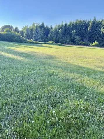 982 Main Street Grand Isle ME 04746