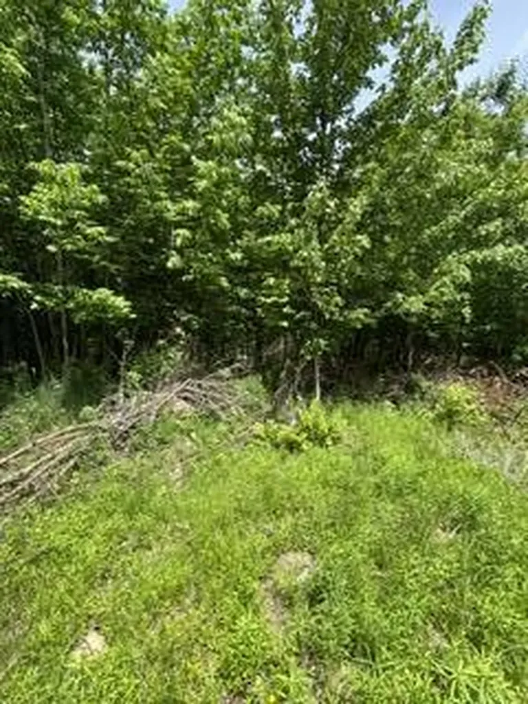13B Richardson Road Orrington ME 04474