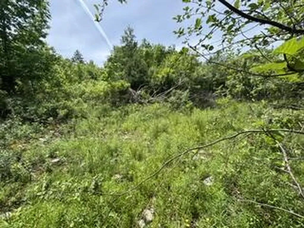13B Richardson Road Orrington ME 04474