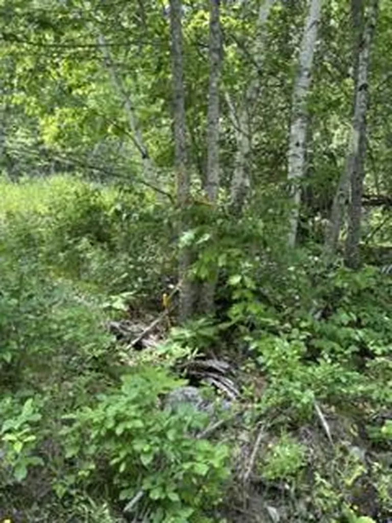 13B Richardson Road Orrington ME 04474