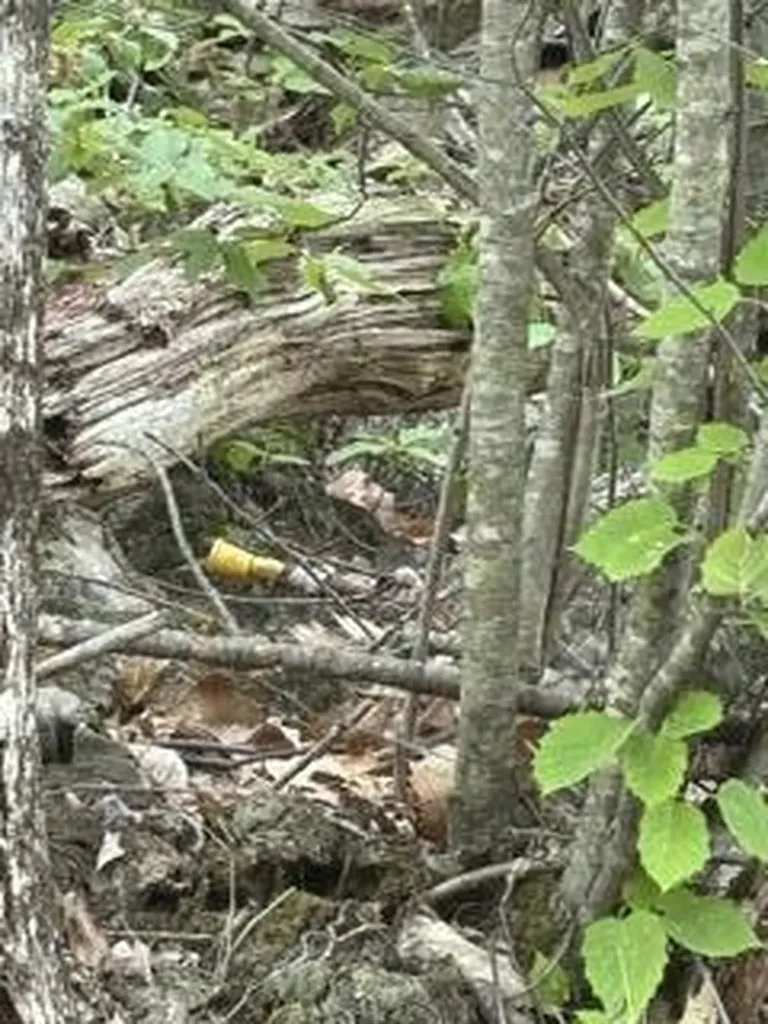 13B Richardson Road Orrington ME 04474